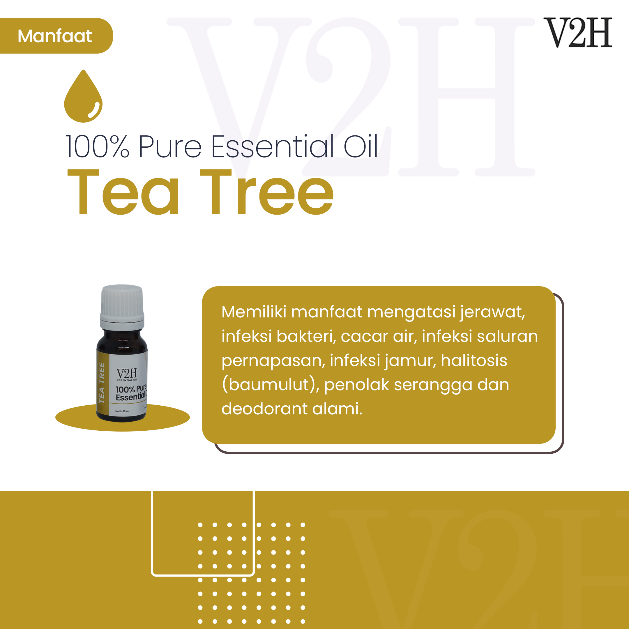 Tea Tree Essential Oil Padhita